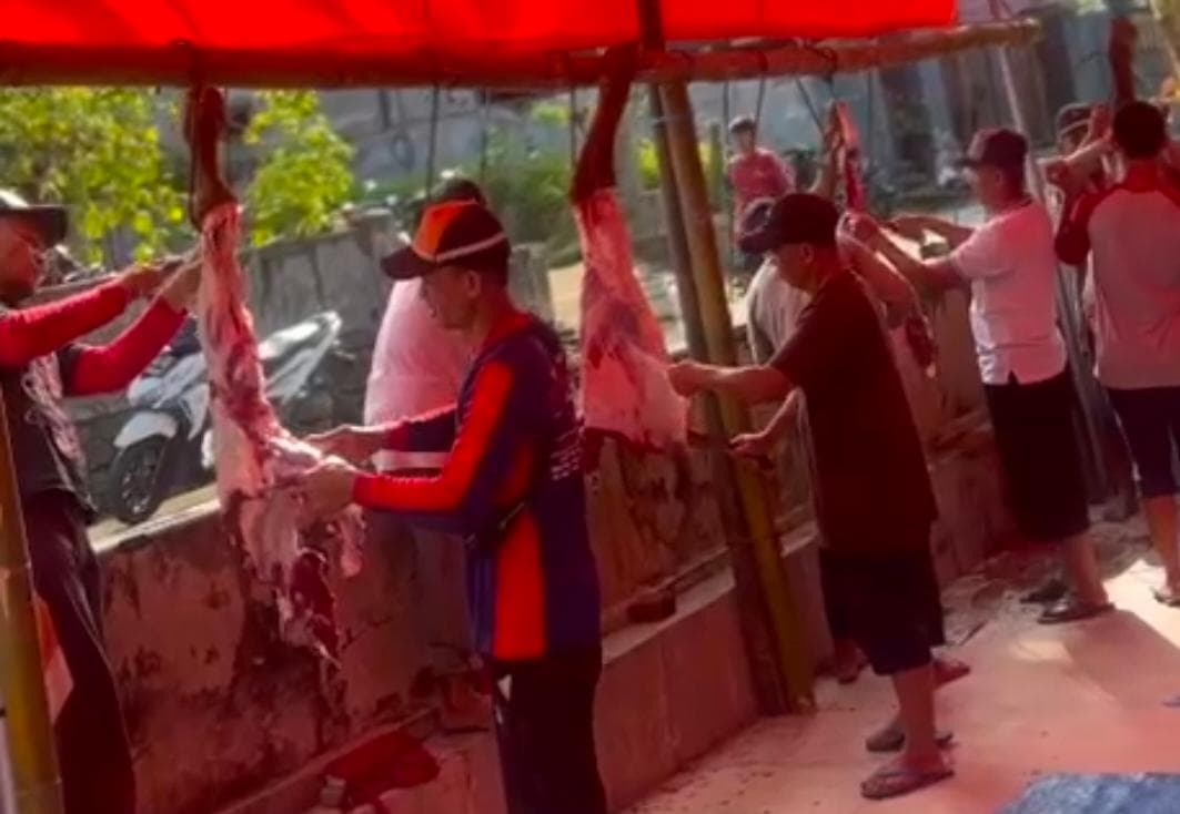 Idul Adha 1447 H: Desa Tanjungsari Kurban 30 Sapi & 50 Kambing